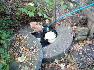 Рятувальники Донеччини врятували собаку, який впав у яму