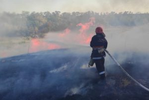 Оперативна інформація щодо роботи рятувальників Донеччини за 2 жовтня