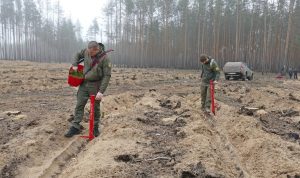 Рік після деокупації: як лісгосп відновлює постраждалі ліси Лиманщини