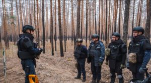 Піротехніки ДСНС за добу виявили ще 75 ВНП на території Донеччини