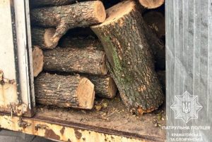 Патрульні продовжують перевіряти законність перевезення деревини