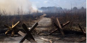 Розробляє фейкові програми з відновлення лісів, знищених окупантами – заочно судитимуть голову «держкомітету лісового та мисливського господарства днр»