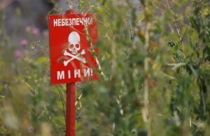 Поблизу Слов’янська заміновані щонайменше 5 гектарів лісів