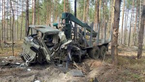 В Україні 10 млн гектарів лісів, майже 3 млн охоплені боями різної інтенсивності — ДП “Ліси України”