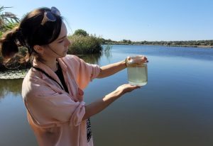 У Слов’янську перевірили якість води, з’ясовуються причини мору риби в озері Нижній Лиман (фото)