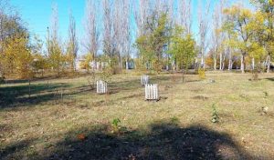 У Слов’янську створили калинову алею та висадили інші рослини (фото, відео)