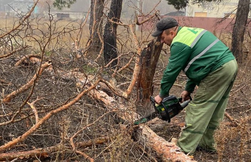 Жителі села Щурове взяли ситуацію з дровами у свої руки (фото)