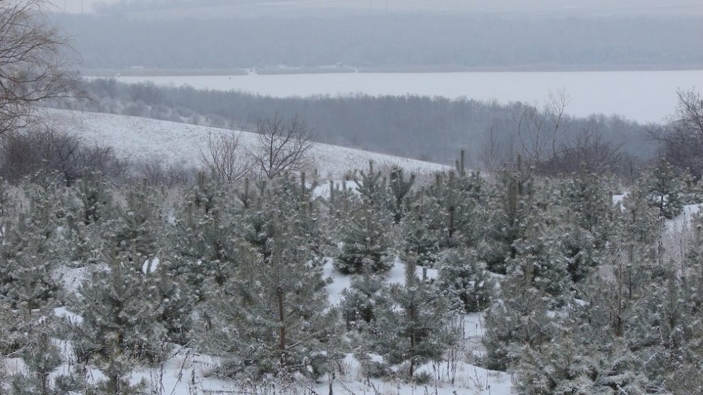 Сніг з дощем, пориви вітру та заморозки. Погода на Донеччині на вихідних