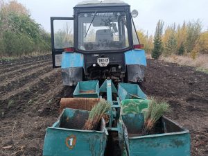 Слов’янський лісгосп розпочав осінні роботи з відновлення та створення нових лісів