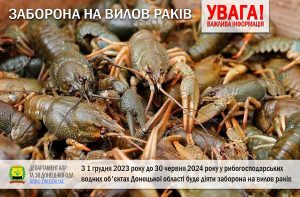 З 1 грудня 2023 року до 30 червня 2024 року у рибогосподарських водних об’єктах Донецької області буде діяти заборона на вилов раків