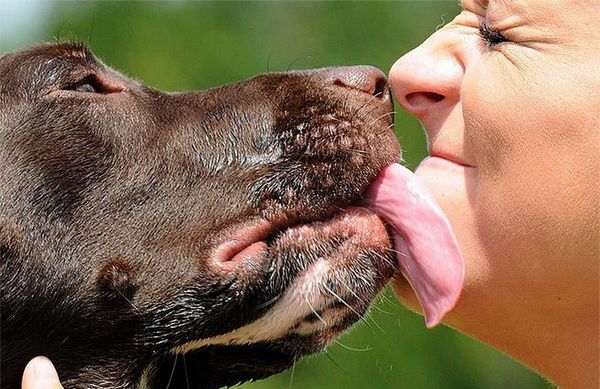 У Харківській області попередили про небезпечне захворювання