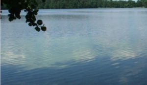 На Донеччині за втручання прокуратури громаді повернуто водойму вартістю понад 8 млн грн