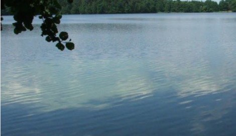 На Донеччині за втручання прокуратури громаді повернуто водойму вартістю понад 8 млн грн