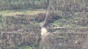 Кількість російських атак на Лимано-Куп’янському напрямку щодня зменшується