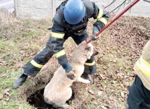 Рятувальники Донеччини врятували собаку