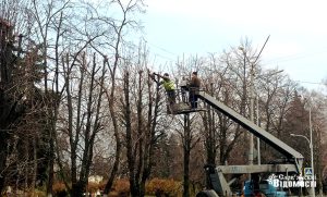 У Слов’янську триває сезонна обрізка дерев: фотофакт