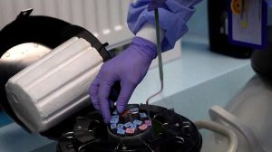 Українські військові зможуть безоплатно зберігати статеві клітини у кріобанках