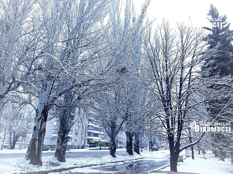 photo 2023 11 20 17 38 41 2