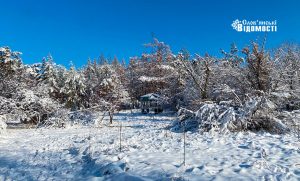 Донеччина зимова: білосніжні та неймовірно красиві фото