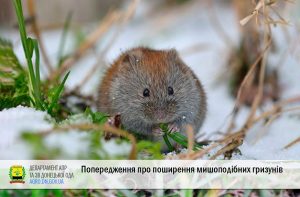 На Донеччині попереджають про поширення мишоподібних гризунів