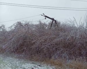 У Донецькій області через аномальну погоду оголосили надзвичайний стан