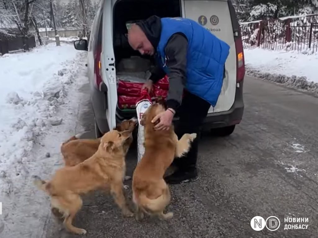 Волонтери привозять у Лиман та Святогірськ корми для бездомних тварин