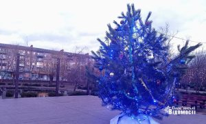 У парку Шовковичному встановили ялинку. Фото