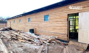 Останні приготування: як виглядає зимовий ангар для тварин у Шовковичному зсередини