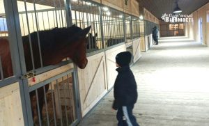Тварин з контактного зоопарку перевели у зимовий ангар (фото)