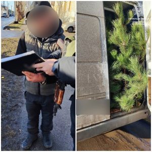 Патрульні виявили водія з ознаками сп’яніння, який перевозив ялинки без документів