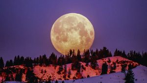 Лунный календарь на январь 2024: благоприятные и неблагоприятные дни