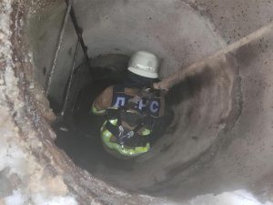 Рятувальники дістали собаку з колодязя