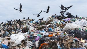 Росіяни хочуть створити сміттєзвалища на окупованому сході України та продовжують грабувати підприємства