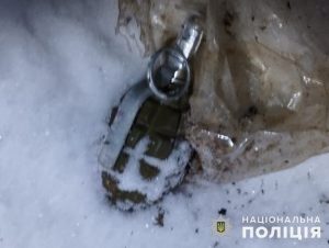 У домашнього агресора з Краматорського району поліція вилучила боєприпаси та рослинний наркотик