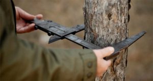 Встановлення ділянок лісу для рубки тепер буде публічним