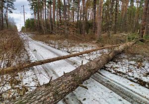 Життя без темряви: жителі села Щурове продовжують боротьбу (документ)