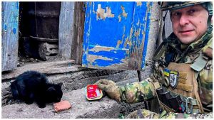 В Авдіївку привезли 750 кілограмів корму для тварин