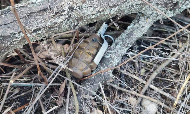 У Лимані, на узбіччі поблизу залізничної зупинки поліцейські виявили предмет, схожий на гранату