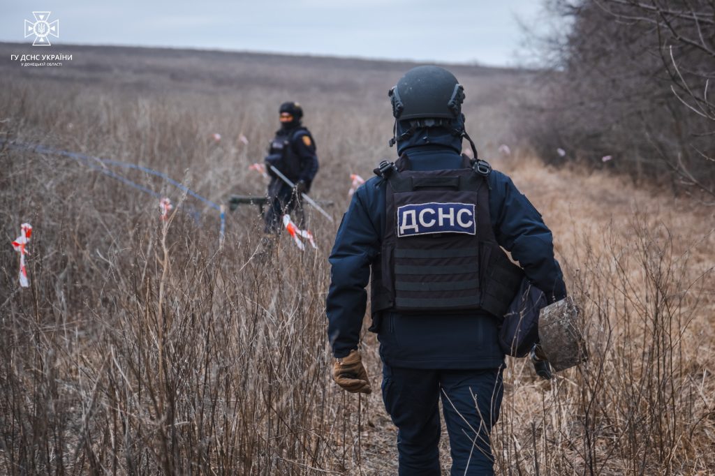 Піротехніки ДСНС виявили та знищили 14 одиниць вибухонебезпечних предметів