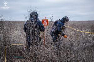 Донеччина: 30 одиниць вибухонебезпечних предметів виявили та вилучили піротехніки ДСНС за минулу добу