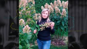 “Збиралась евакуюватись до Києва”. У Краматорську загинула викладачка Людмила Кравченко