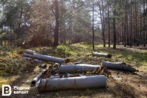 “Плануємо висадити 120 тисяч дерев”: як на Донеччині відновлюється “Лиманський лісгосп”