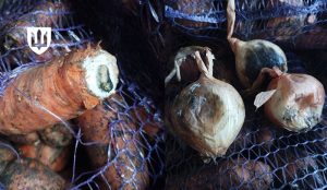 Міноборони відмовилося від постачання 360 тонн зіпсованих продуктів для військових на сході країни