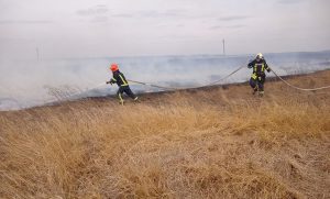 Протягом минулої доби рятувальники Донеччини залучались до ліквідації 24 пожеж на території області, 1 з яких виникла внаслідок ворожого обстрілу