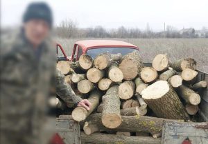 Патрульні продовжують виявляти, ймовірно, незаконні вирубки зелених насаджень