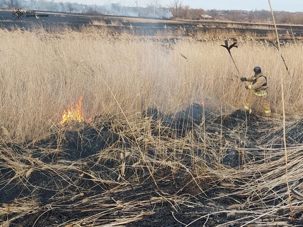 Минулої доби рятувальники потушили 23 пожежі в природних екосистемах, випалено понад 31 га сухої рослинності