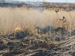  Минулої доби рятувальники потушили 23 пожежі в природних екосистемах, випалено понад 31 га сухої рослинності