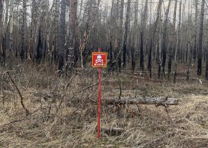 Алгоритм дій при виявленні небезпечних предметів