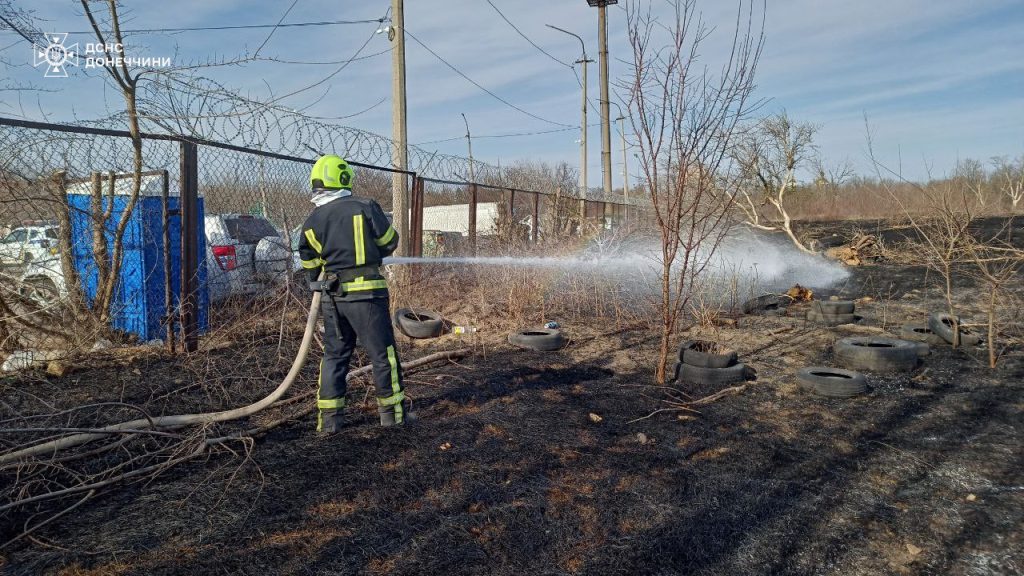 В Маяках вогнем знищено 4 га сухостою