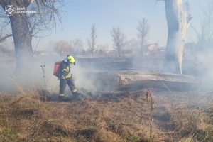 Через паління очерету в Слов’янську сталася пожежа у будинку